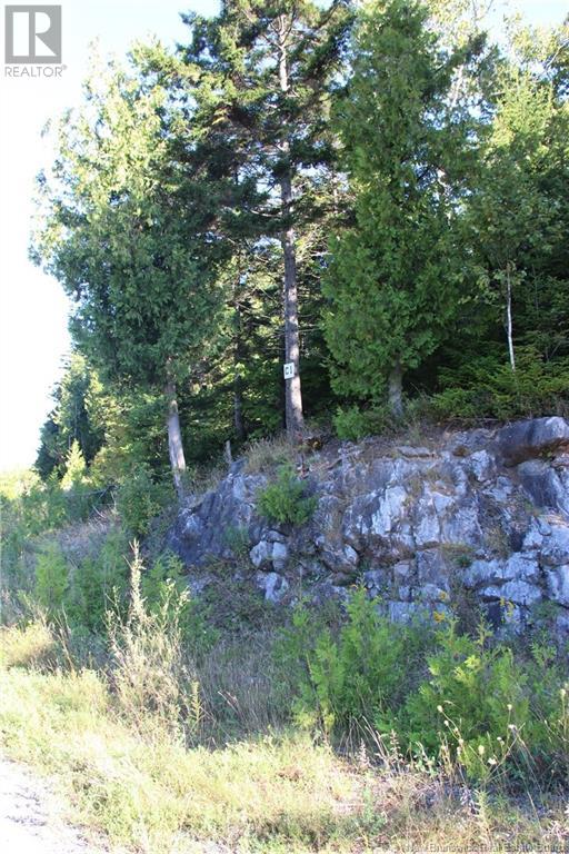 00 Drury Cove Road Property Photo 3
