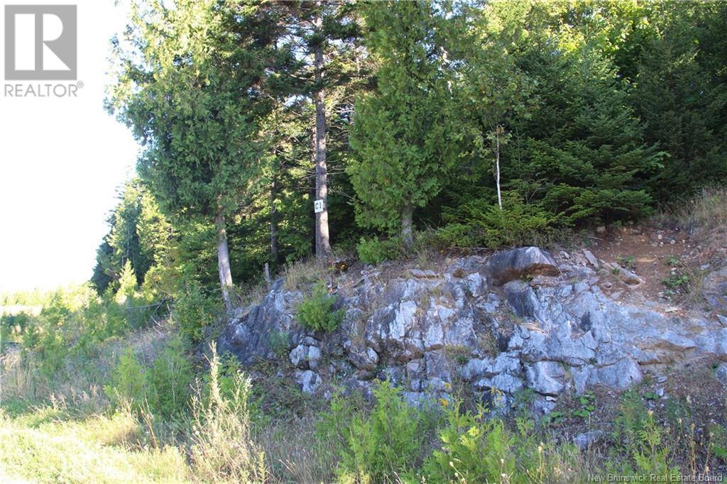 00 Drury Cove Road Property Photo 4