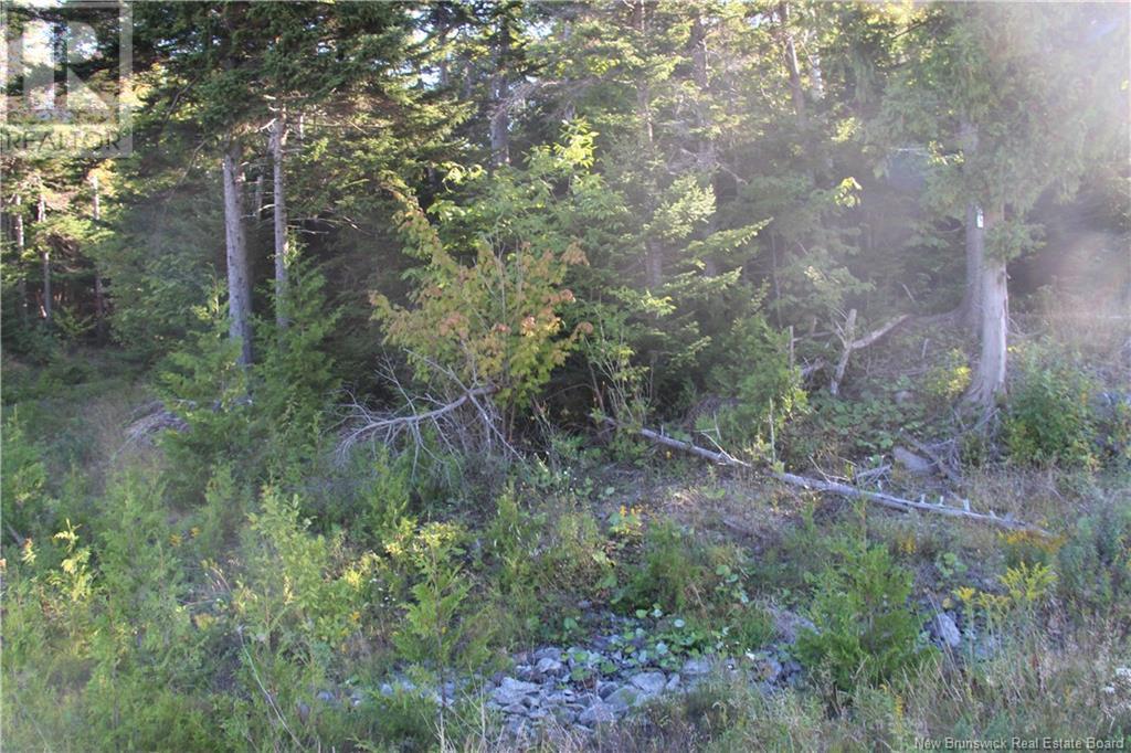00 Drury Cove Road Property Photo 5