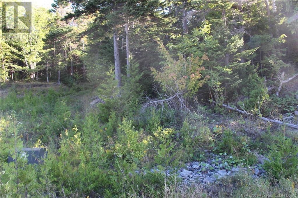 00 Drury Cove Road Property Photo 7