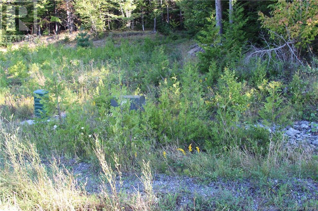 00 Drury Cove Road Property Photo 8