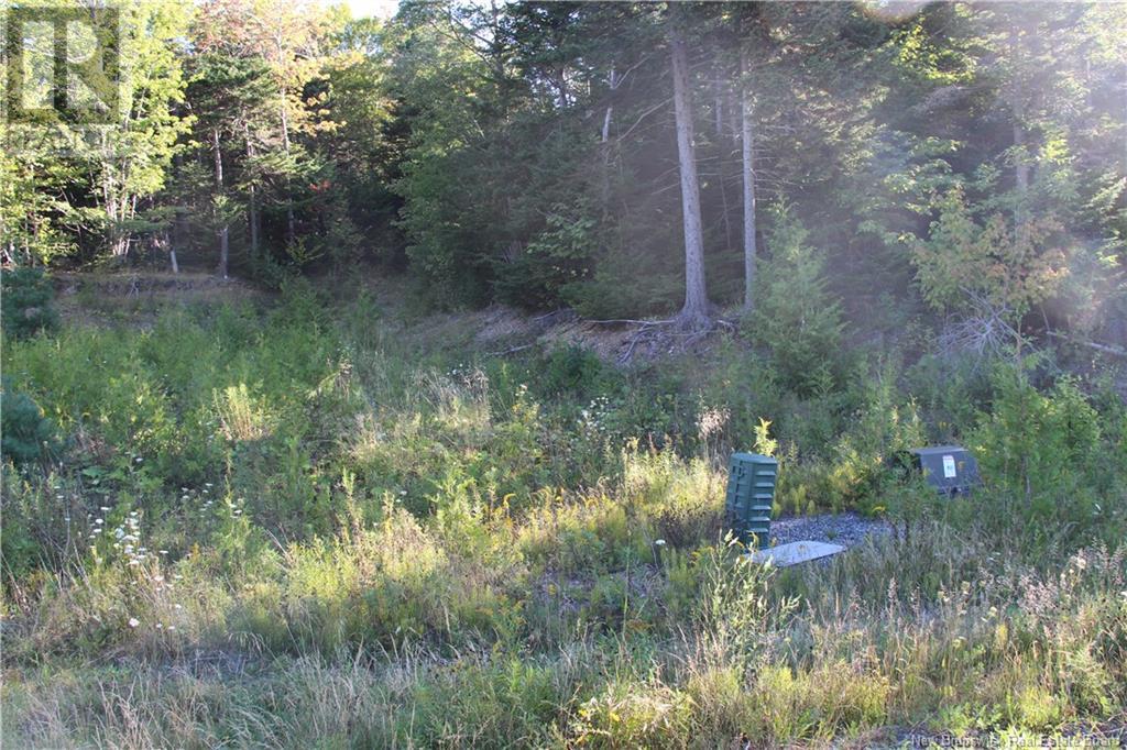 00 Drury Cove Road Property Photo 9