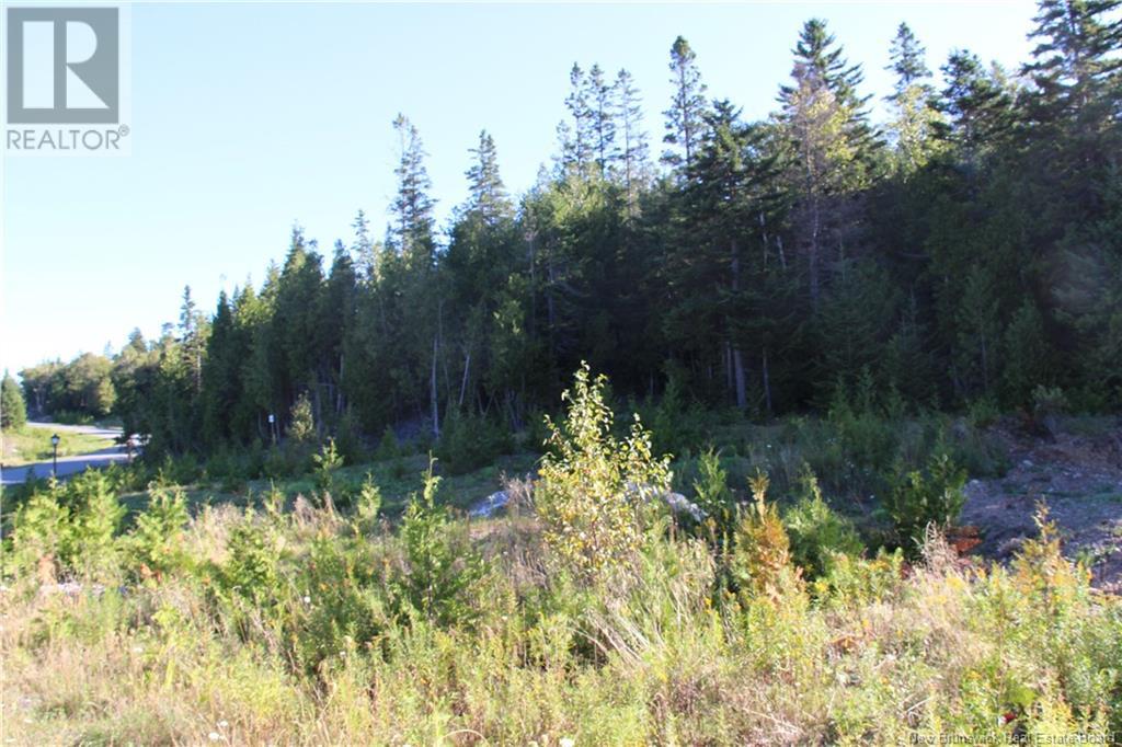00 Drury Cove Road Property Photo 2