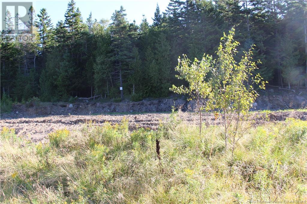 00 Drury Cove Road Property Photo 3