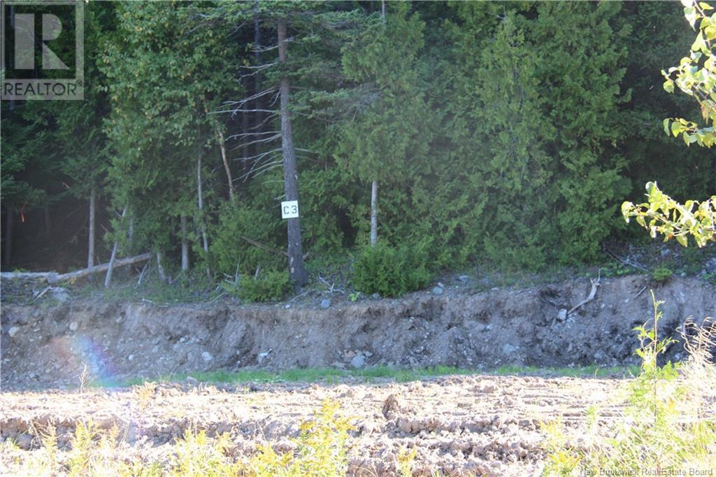 00 Drury Cove Road Property Photo 4
