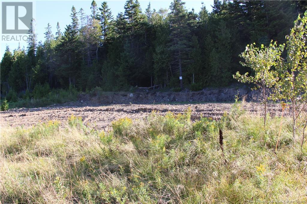 00 Drury Cove Road Property Photo 6