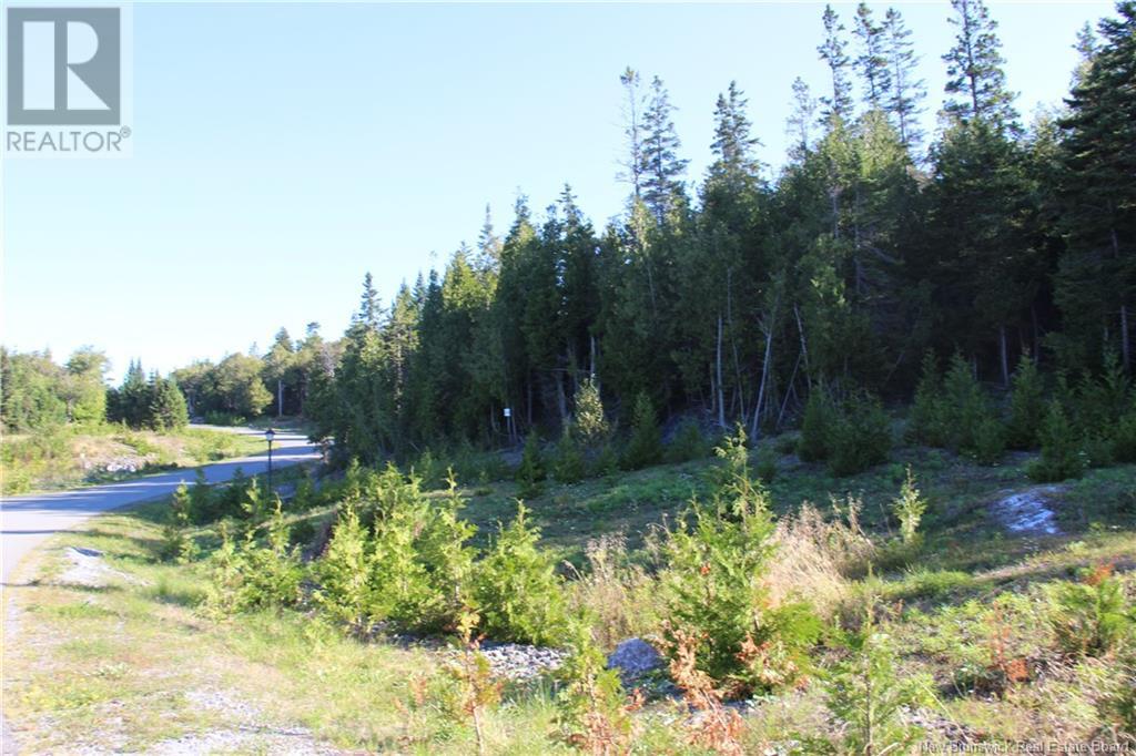 00 Drury Cove Road Property Photo 7