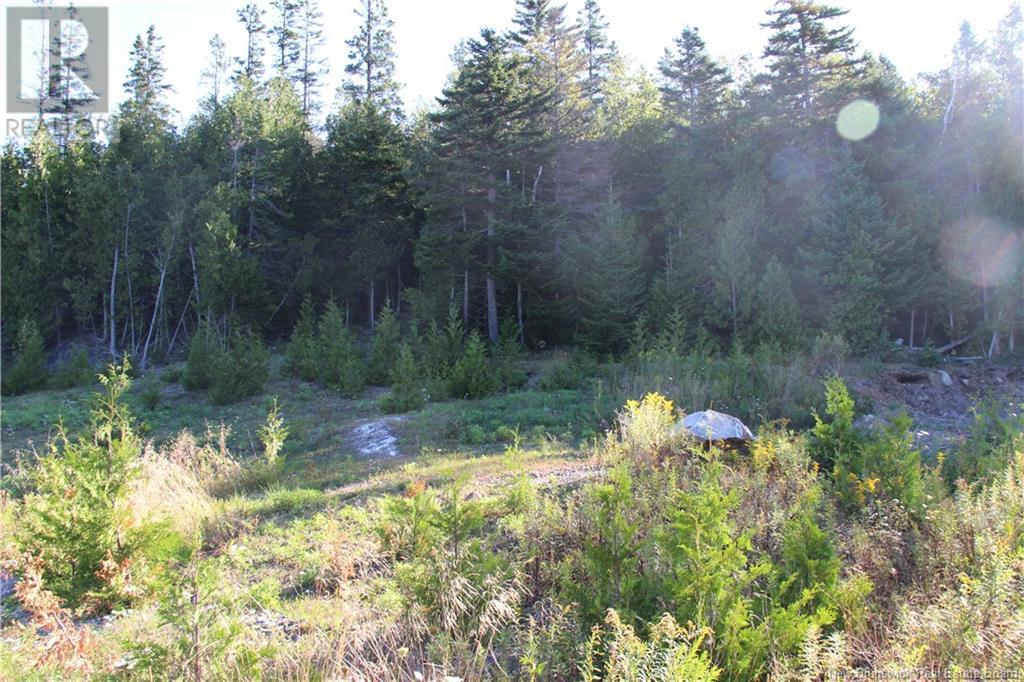 00 Drury Cove Road Property Photo 8