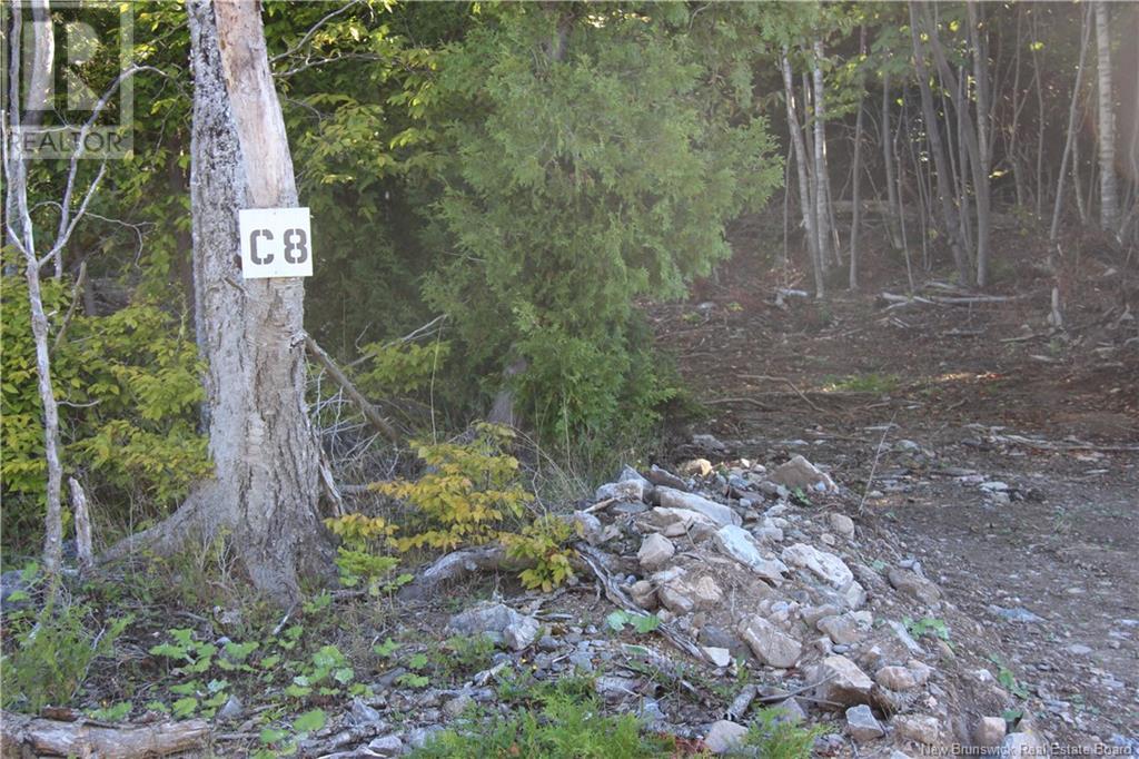 00 Shoreline Drive Property Photo 1