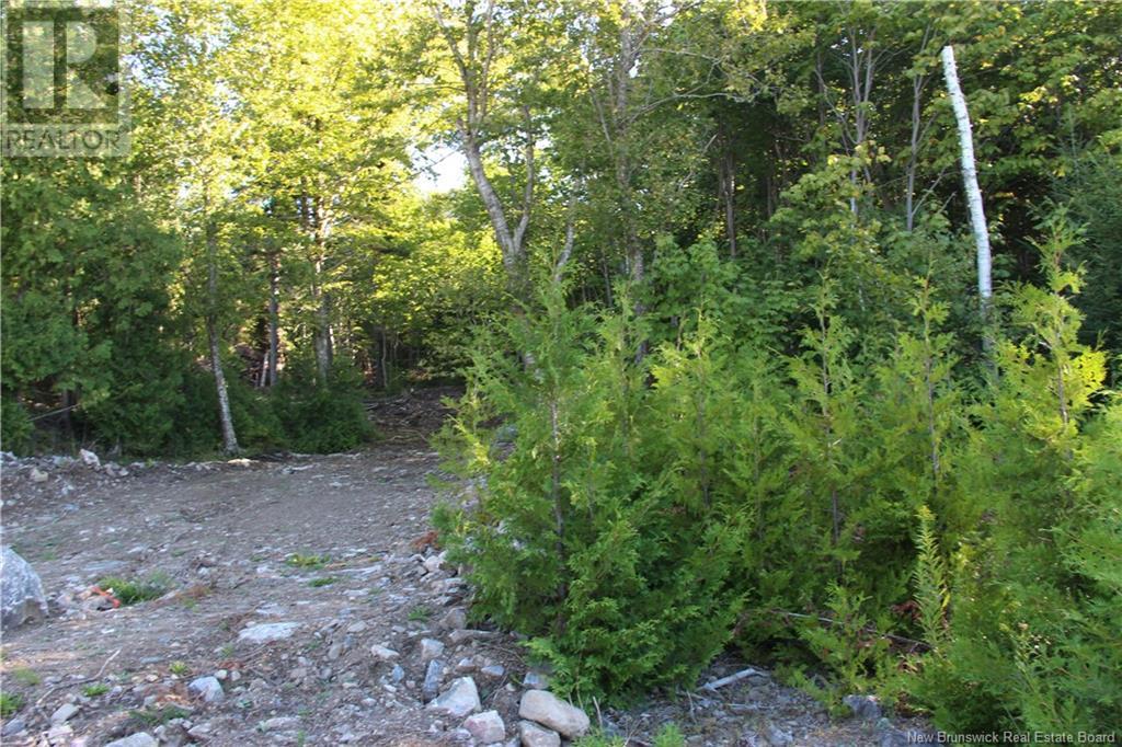 00 Shoreline Drive Property Photo 3