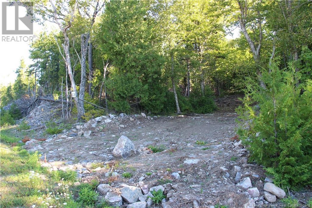 00 Shoreline Drive Property Photo 4