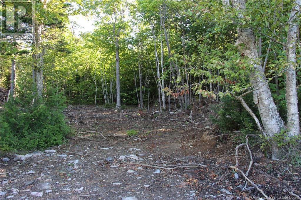 00 Shoreline Drive Property Photo 5