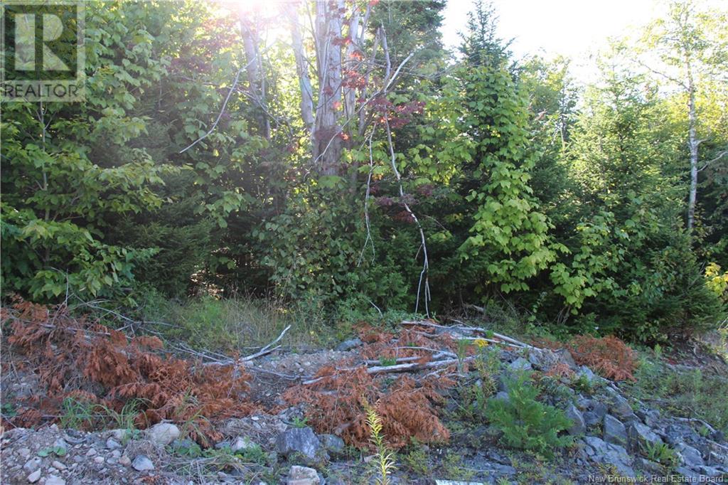 00 Shoreline Drive Property Photo 8