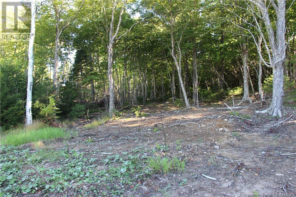 00 Shoreline Drive Property Photo 9