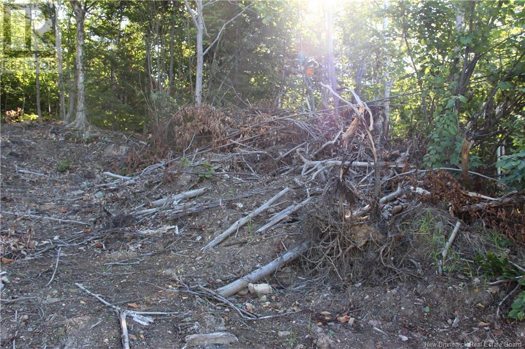 00 Shoreline Drive Property Photo 10
