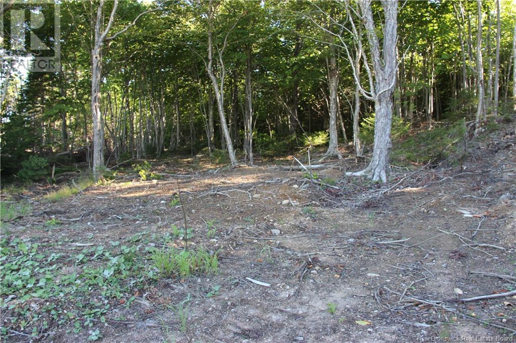 00 Shoreline Drive Property Photo 11