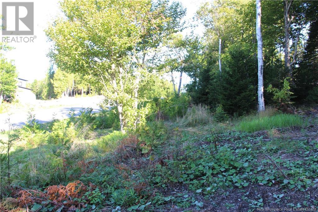 00 Shoreline Drive Property Photo 1
