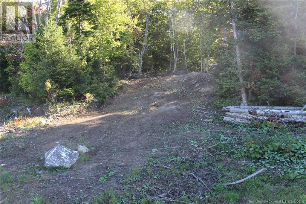 00 Shoreline Drive Property Photo 2