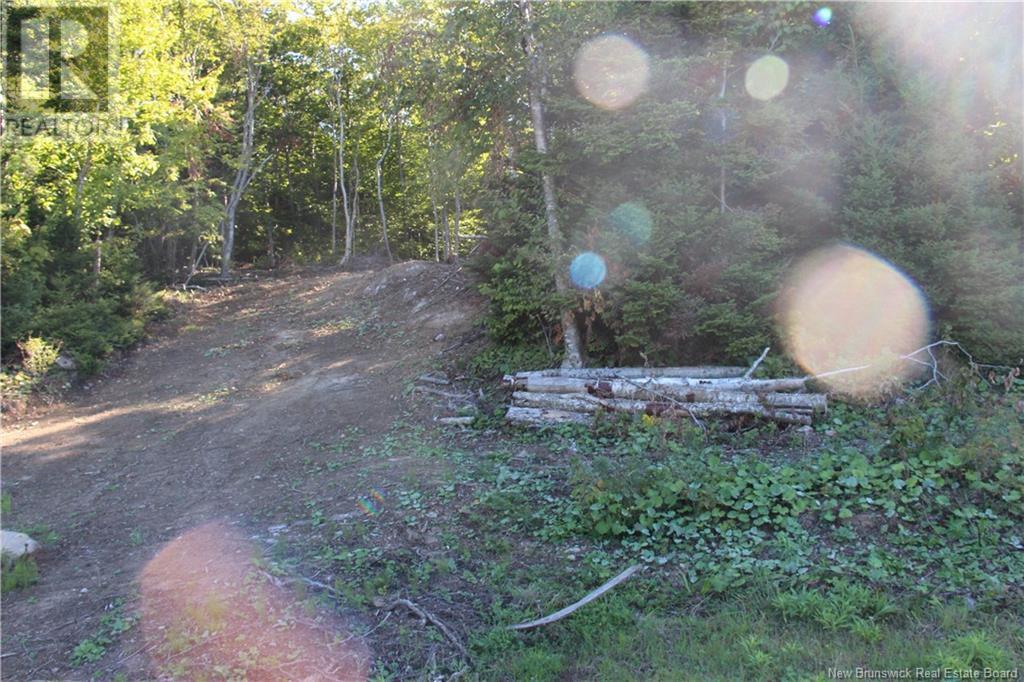 00 Shoreline Drive Property Photo 4