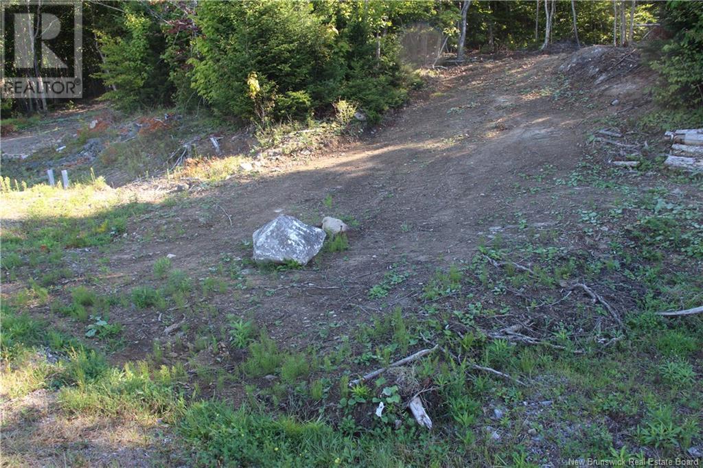 00 Shoreline Drive Property Photo 5