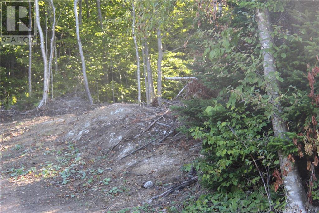 00 Shoreline Drive Property Photo 7