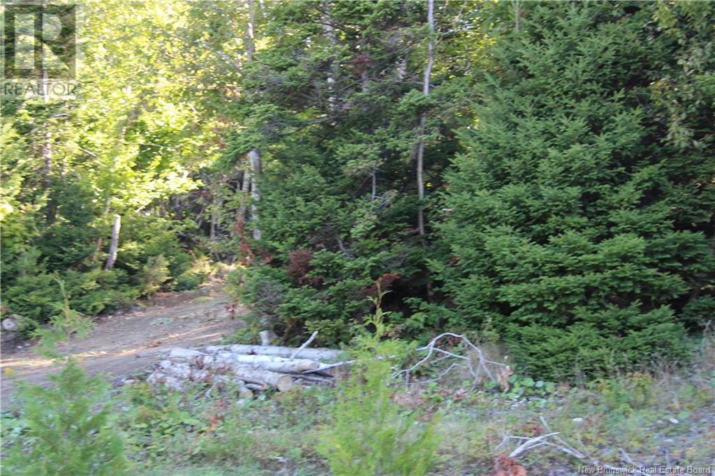 00 Shoreline Drive Property Photo 8