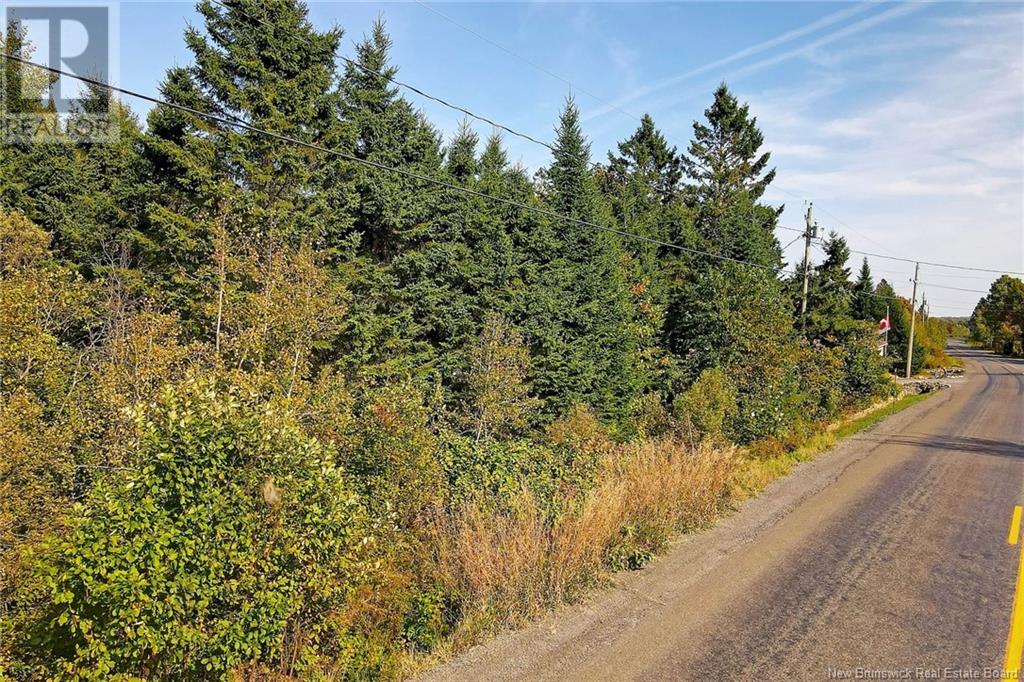Lot 8 Kingsley Road Property Photo 3
