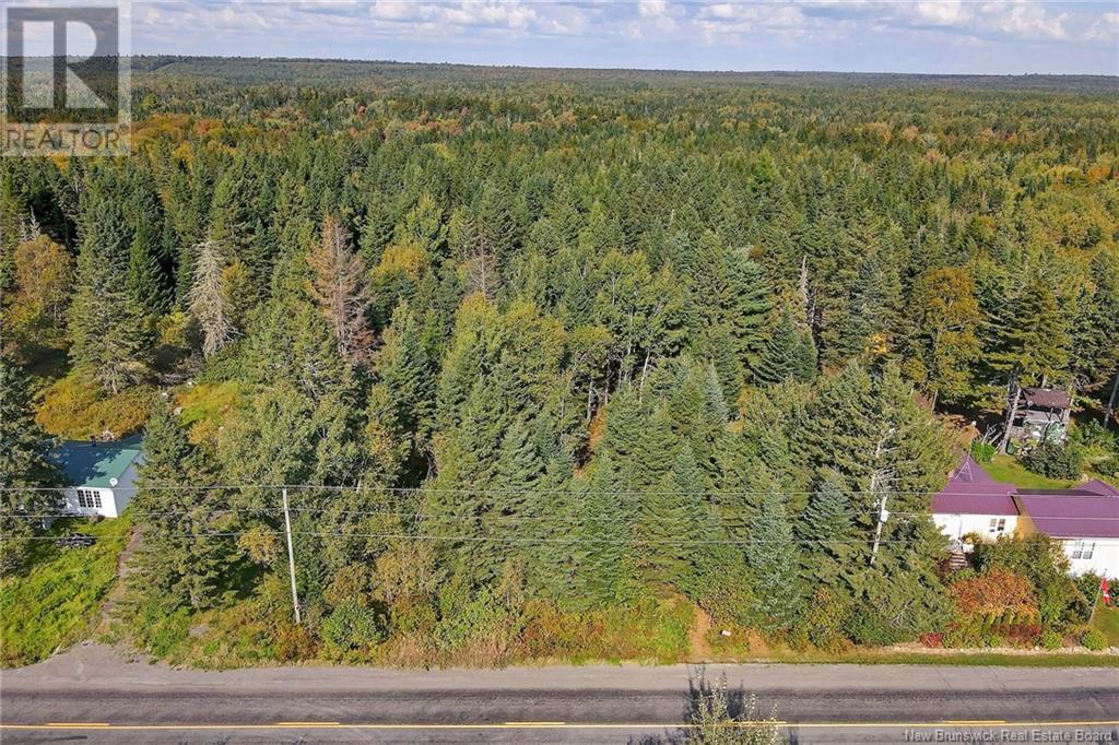 Lot 8 Kingsley Road Property Photo 5