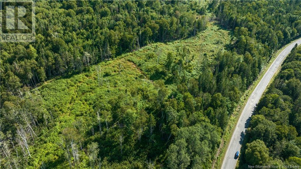 Lot Damascus Road Property Photo 13