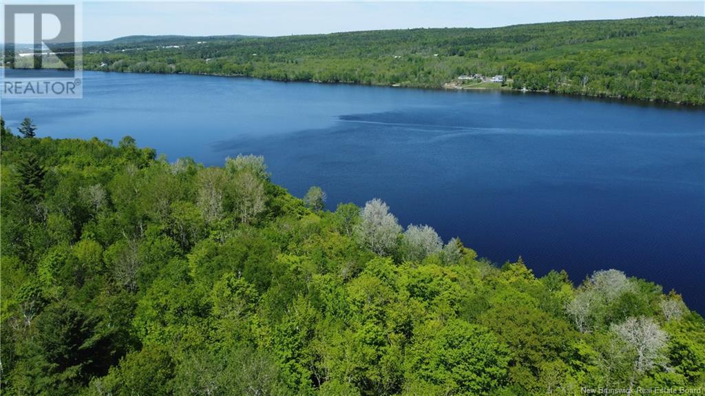 0 Route 165 Property Photo 4