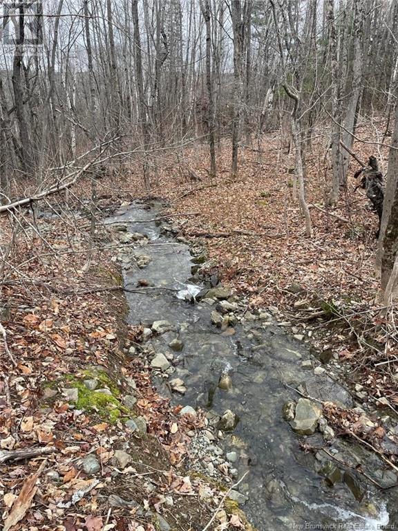 0 Route 165 Property Photo 6