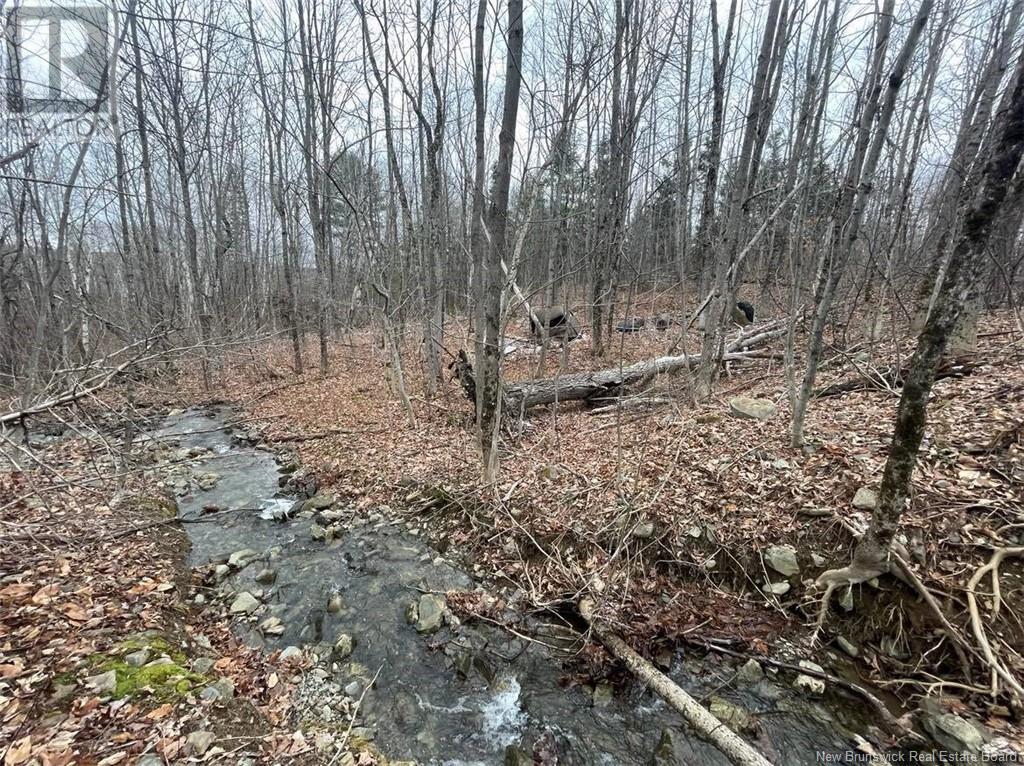 0 Route 165 Property Photo 7