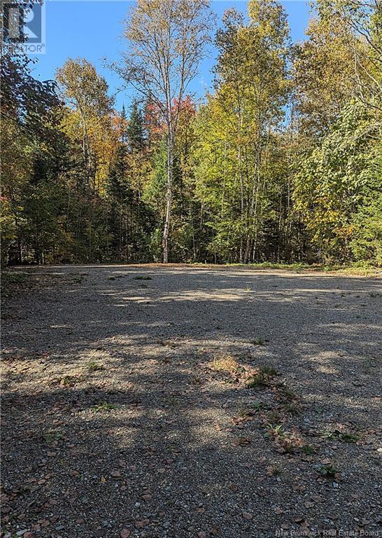 Lot 2 Highway Pokiok Property Photo 4