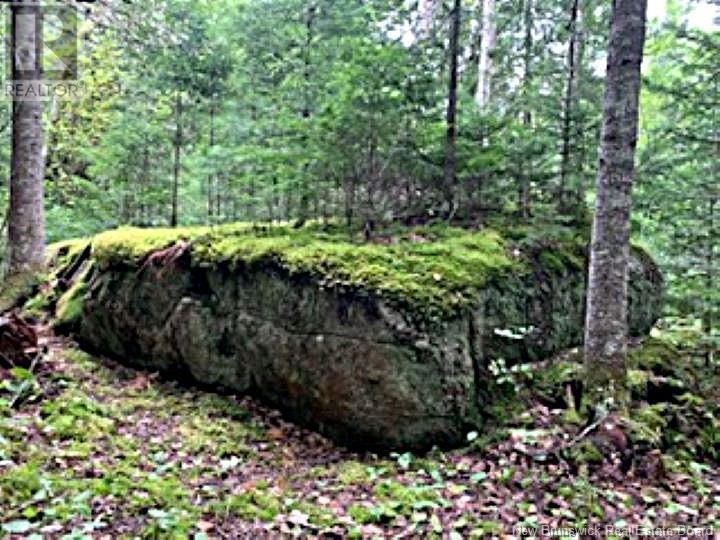 Lot 2 Highway Pokiok Property Photo 5