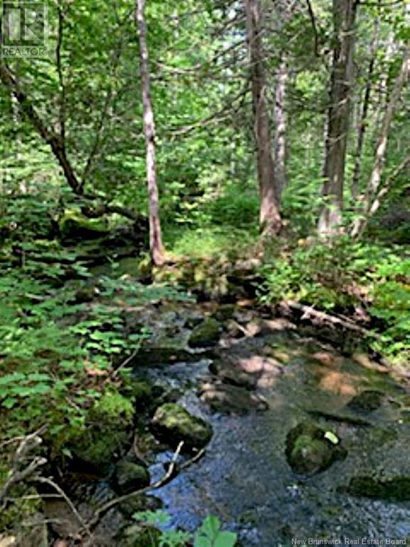 Lot 2 Highway Pokiok Property Photo 6