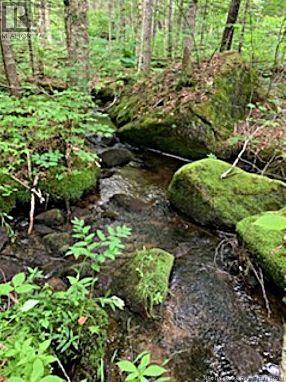 Lot 2 Highway Pokiok Property Photo 7