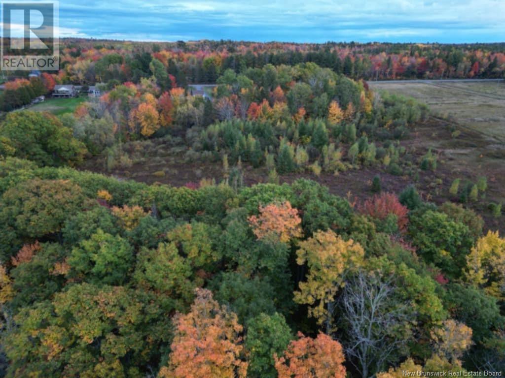 9208 Route 10 Property Photo 12