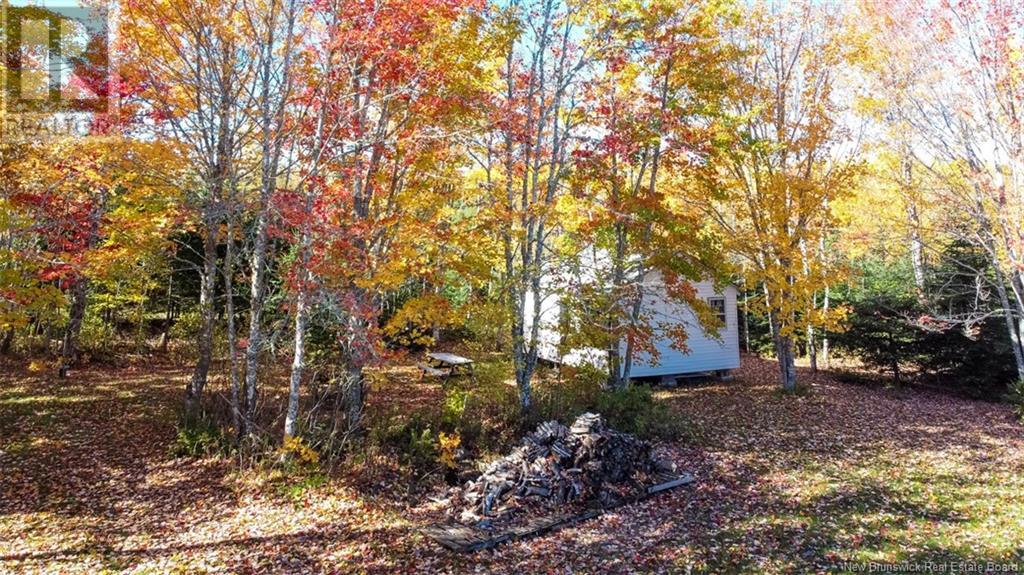 161 Fisher Hill Property Photo 3