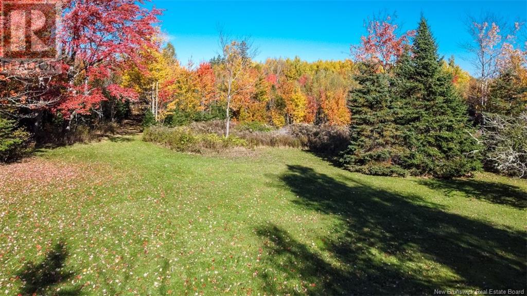 161 Fisher Hill Property Photo 4