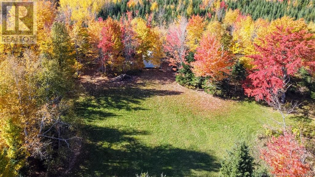 161 Fisher Hill Property Photo 13