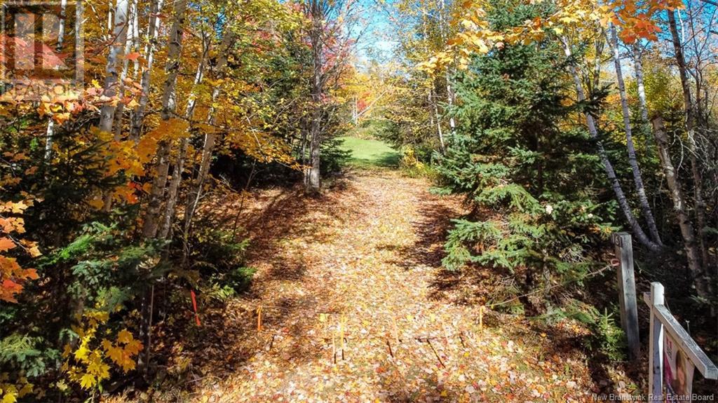 161 Fisher Hill Property Photo 17