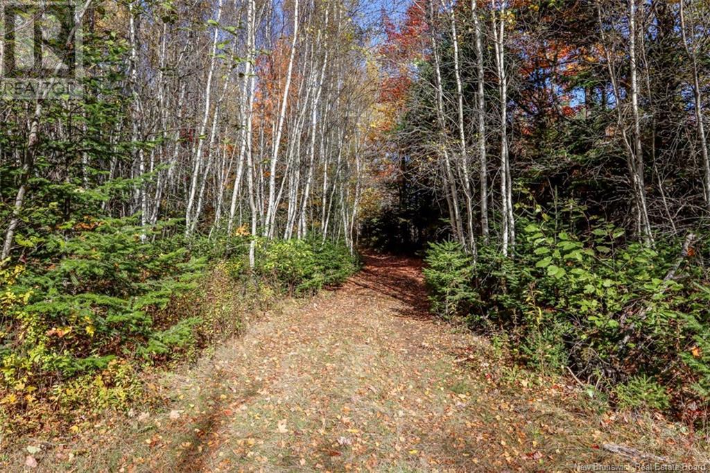 161 Fisher Hill Property Photo 21