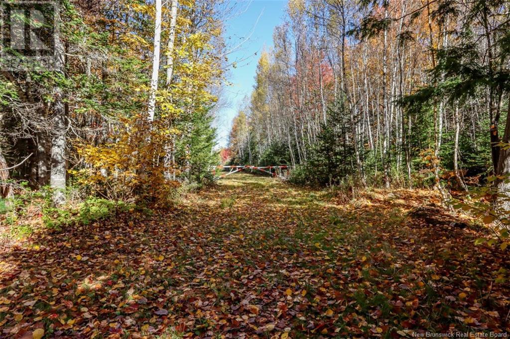 161 Fisher Hill Property Photo 22