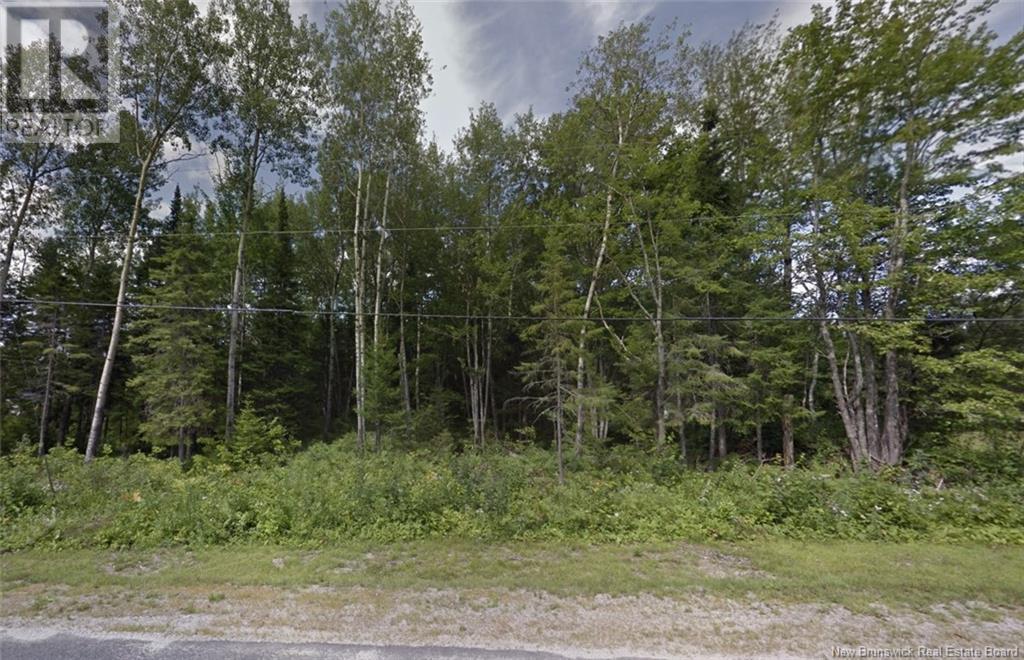 4001 Sqm Telly Road Property Photo 3