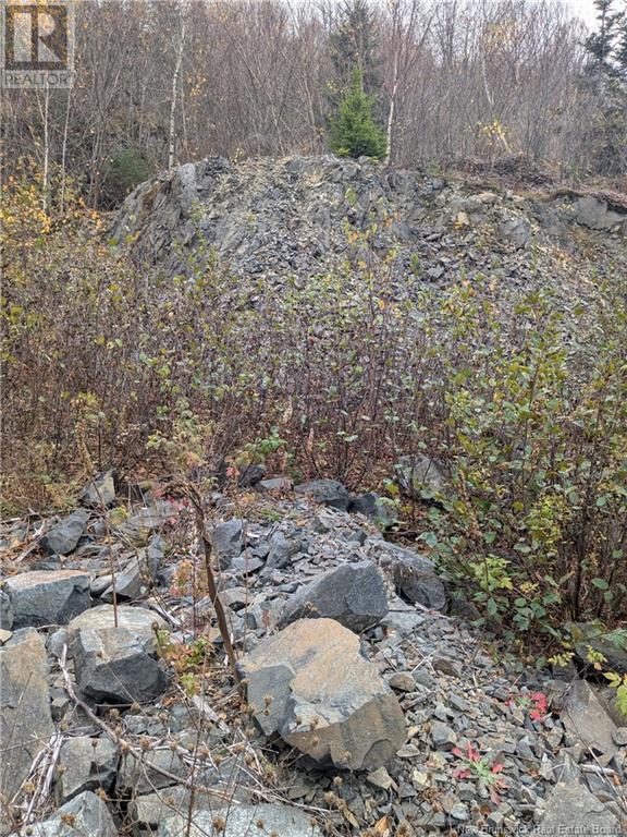 86-321 Fundy Drive Property Photo 4