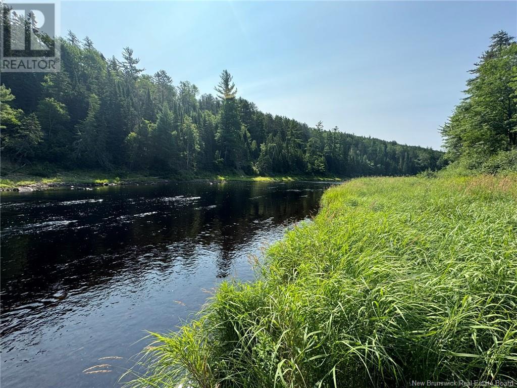 Camp Lease Land Shinnickburn Road Property Photo 16