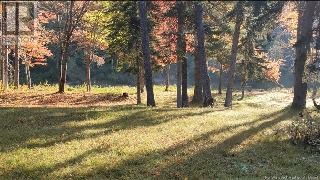 Camp Lease Land Shinnickburn Road Property Photo 18
