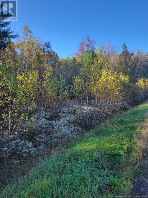 Lot 93-2 Route 105 Property Photo 1