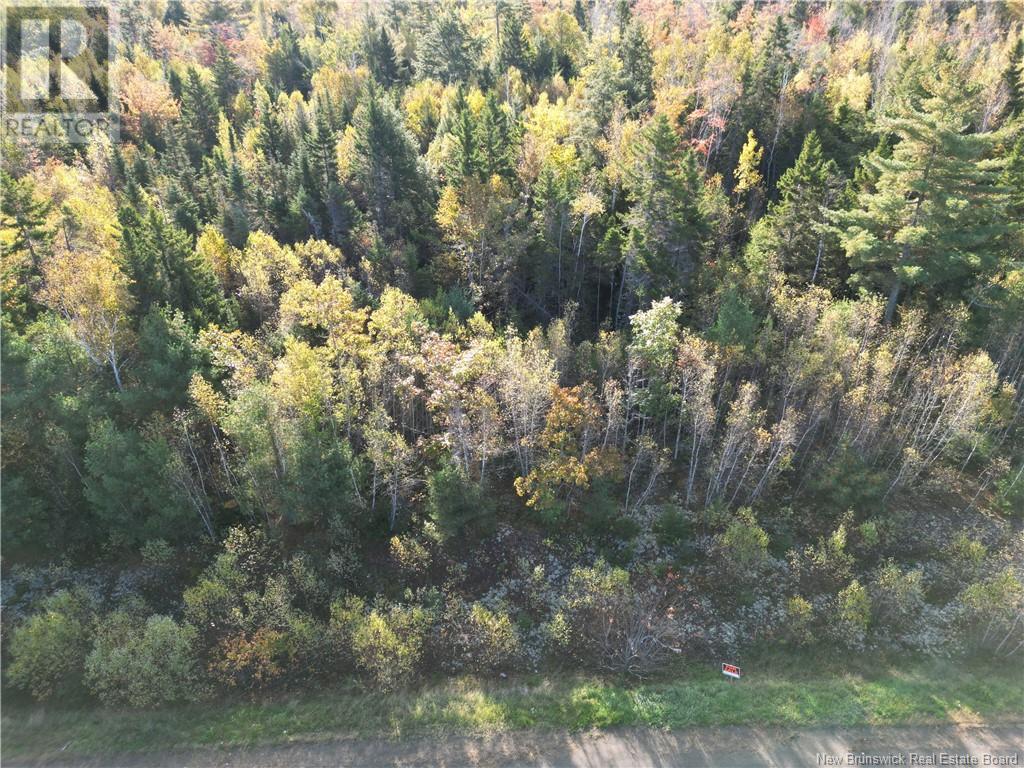 Lot 93-2 Route 105 Property Photo 2