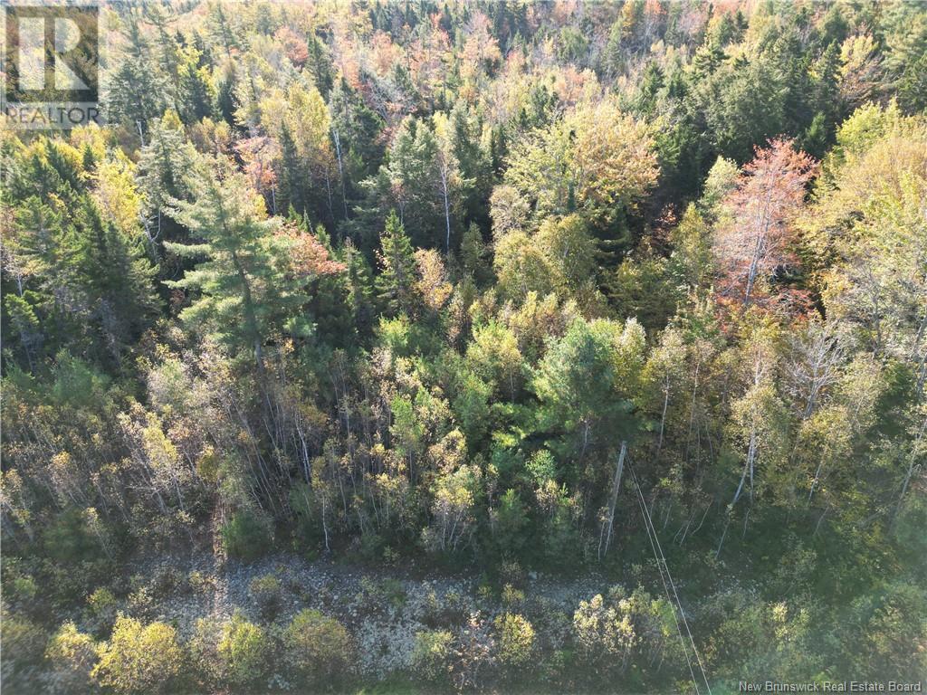Lot 93-2 Route 105 Property Photo 3